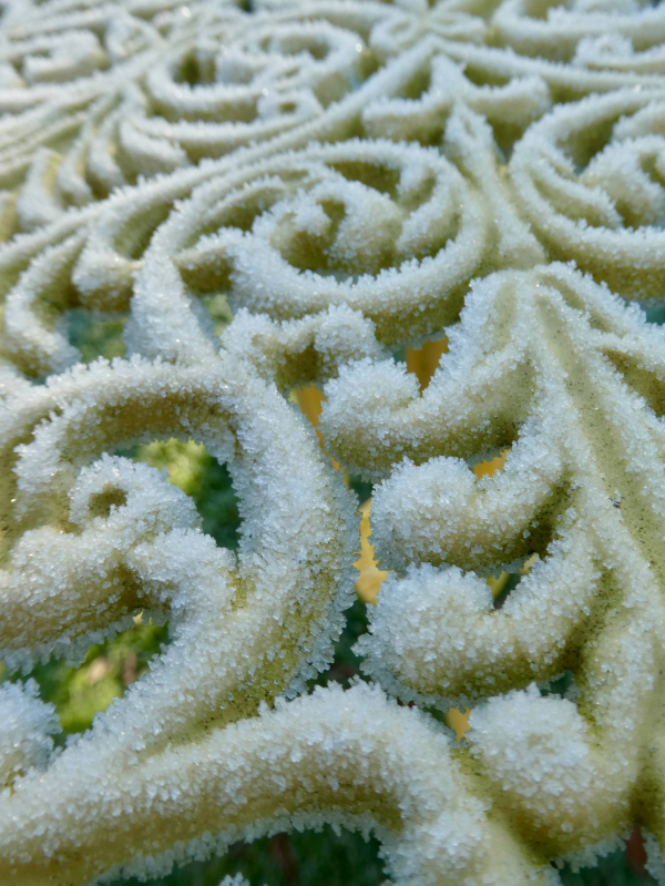 'Frosty Table' by Joan Grosscurth, Fairford u3a
